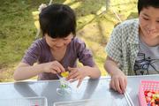 食品サンプルで小物づくり体験