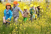 笑顔で菜の花畑の中を散歩して楽しむ園児たち