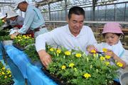 花の摘み取り