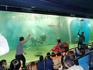 やんちゃ兄弟が起こした火災を消火する消防隊員