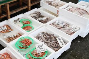 越前がにのほか、新鮮な魚介類を安価で提供