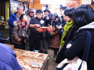 市内の魚問屋にて冬の味覚「越前がに」について