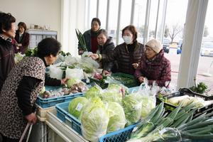 会話を楽しみながら、野菜を吟味