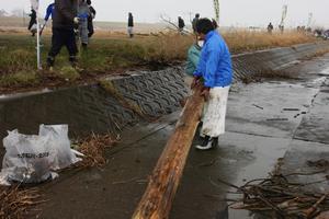 流木なども撤去