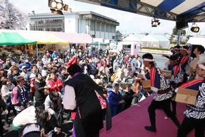 大勢の人でにぎわうSAKURA餅まき