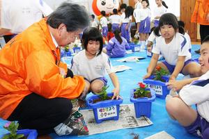 育てる花は「マリーゴールド」と「ニチニチソウ」