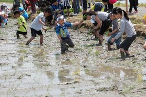 足を取られて、悪戦苦闘
