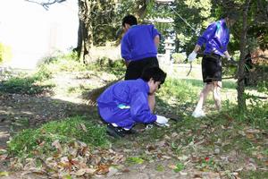 広い敷地にも関わらず、隅々まで落ち葉掃き