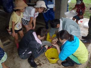 福井工大の学生もお手伝い