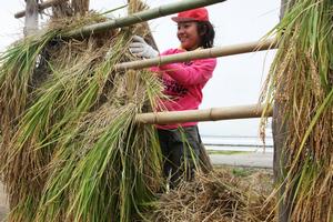 おいしいおもちが食べられるようにと、木と竹で