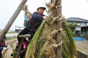 高い場所にハサ掛けをするときは、「鞍かけ」に