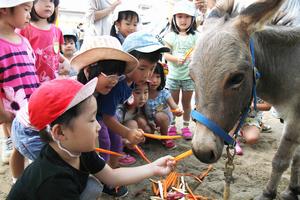 園児たちからニンジンやサツマイモなど食べさせてもらうウマやロバ