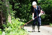 雑草を刈ることで、道路の環境を整える