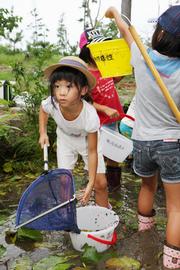 泥まみれになりながらも、網を使って池の泥をすくってザリガニを探す子どもたち