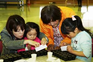 職員に習いながら、仕切られた土に種をまいていく親子