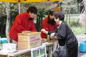 会場の入口では、桜保全のための募金活動が行われた