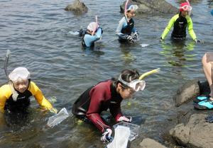 岩場の隙間にいる生き物を驚かせないようにそっと観察を行う