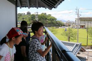 丸岡城や周辺の景色が一望できる