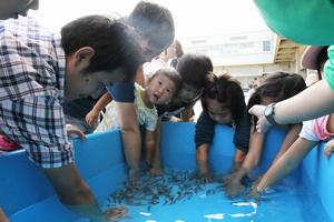 越前松島水族館によるドクターフィッシュ・ガラ約300匹のエステ体験も行われた