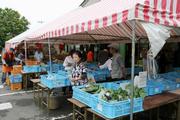 新鮮な地場産旬の野菜や果物などが販売された