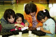 職員に習いながら、仕切られた土に種をまいていく親子