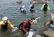 岩場の隙間にいる生き物を驚かせないようにそっと観察を行う