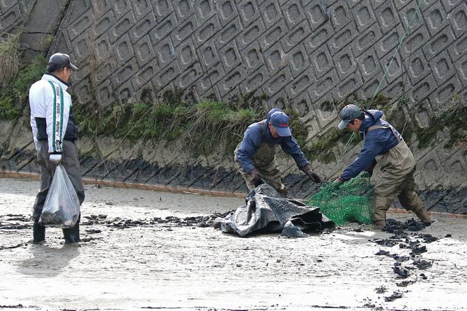 泥まみれになりながら、ごみを引き上げる参加者