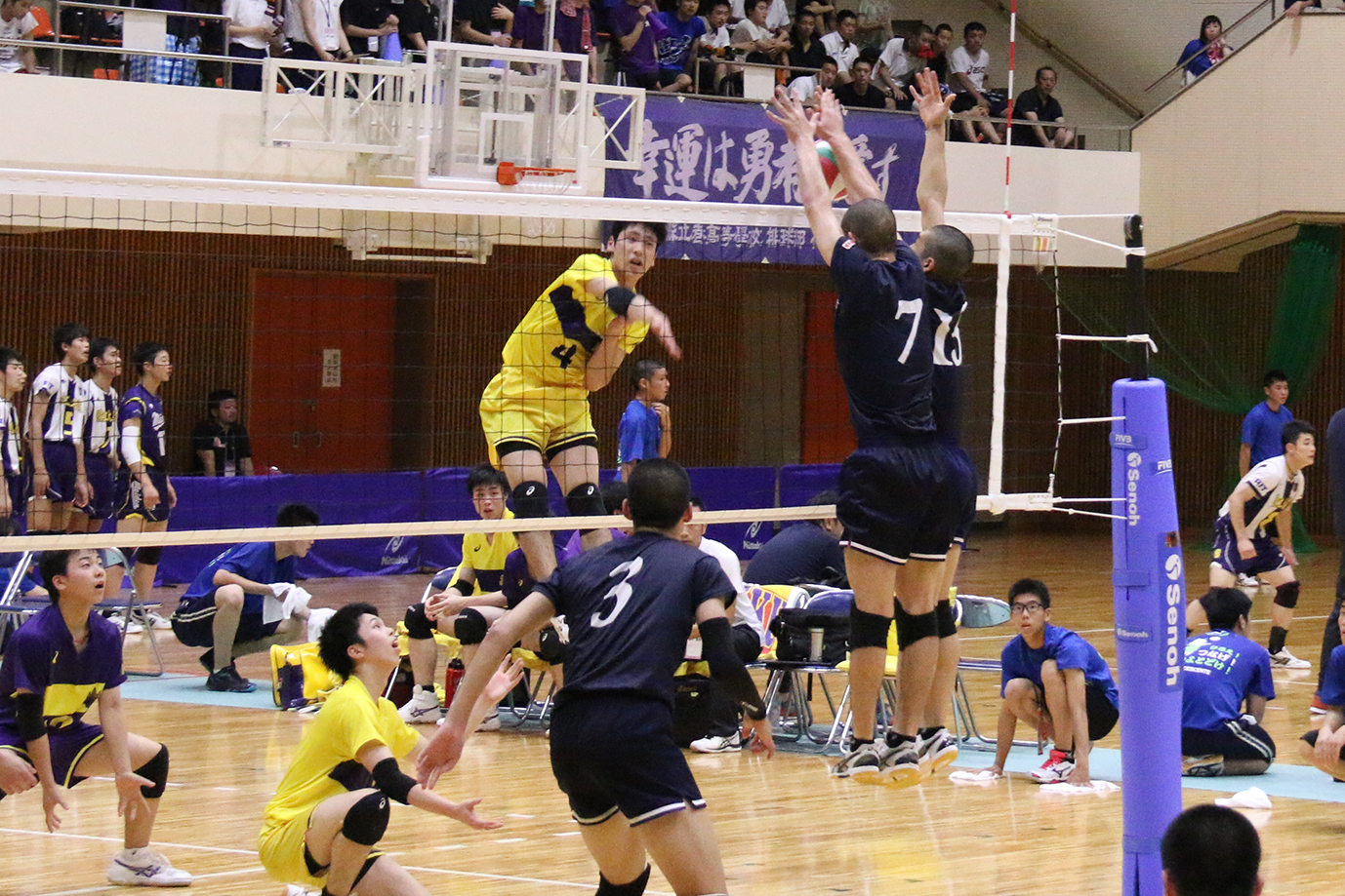 坂井市