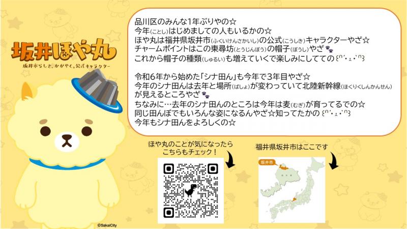 5月11日田植え1