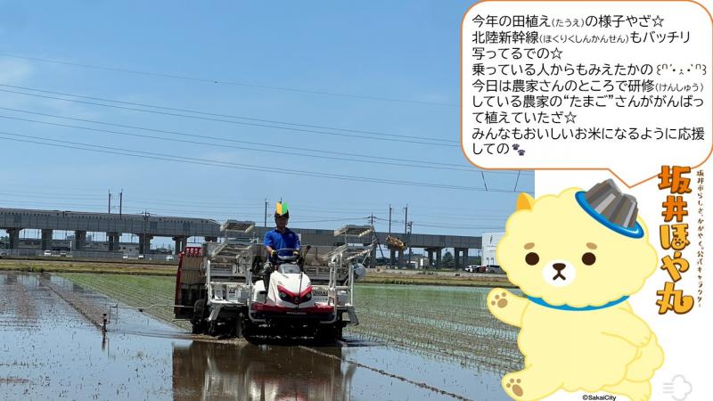 5月11日田植え2