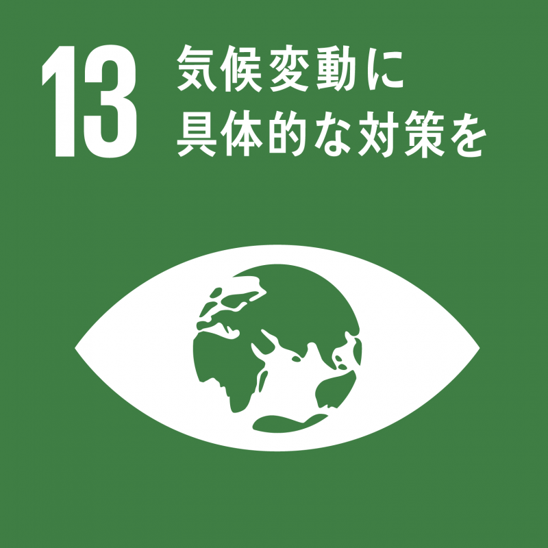 SDG’s-13