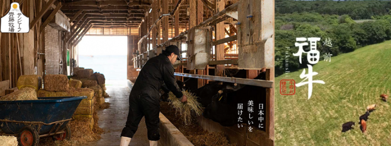 サンビーフ齊藤