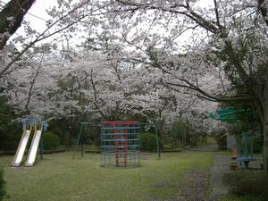 桜谷公園（写真2）