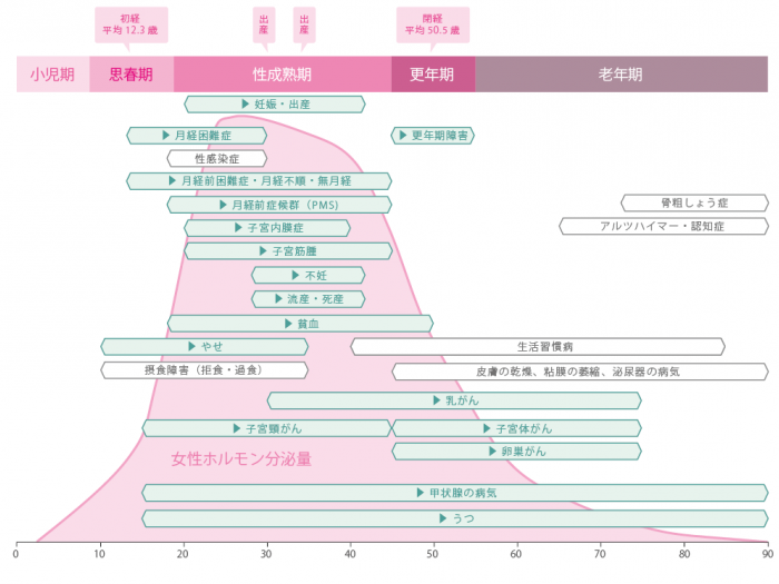 女性のライフステージ